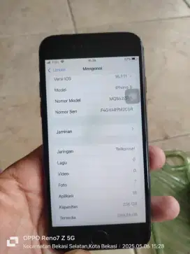 iPhone 8 256 iOs 16.7.11