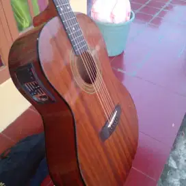 GITAR AKUSTIK ELEKTRIK MITCHELL KAYU INDAH MEMPESONA