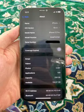 Iphone 12 Pro 256 GB ex Inter