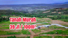Tanah Kavling Kebun Bogor, cocok Investasi Produktif & Wisata Keluarga