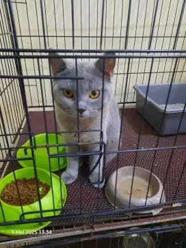 BSH Abu Jantan Abu