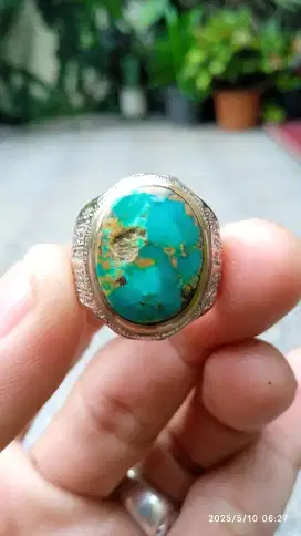 PIRUS PERSIA GRADASI HIJAU URAT MAS