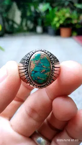 PIRUS MINI PORSLEN GRADASI URAT MAS