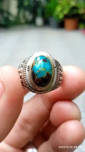 PIRUS PERSIA URAT MAS LAWASAN