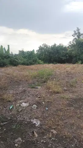 DI JUAL TANH PREMIUM LUASAN KECIL   LOKASI BRAWA
