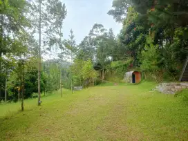 TANAH MURAH DEKAT WISATA CIWIDEY