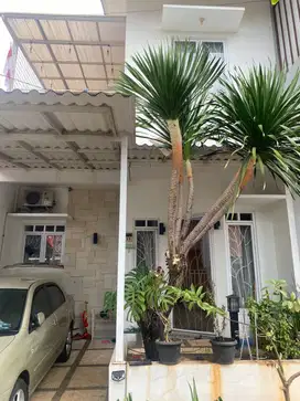 Rumah dikontrakan (semi furnish)