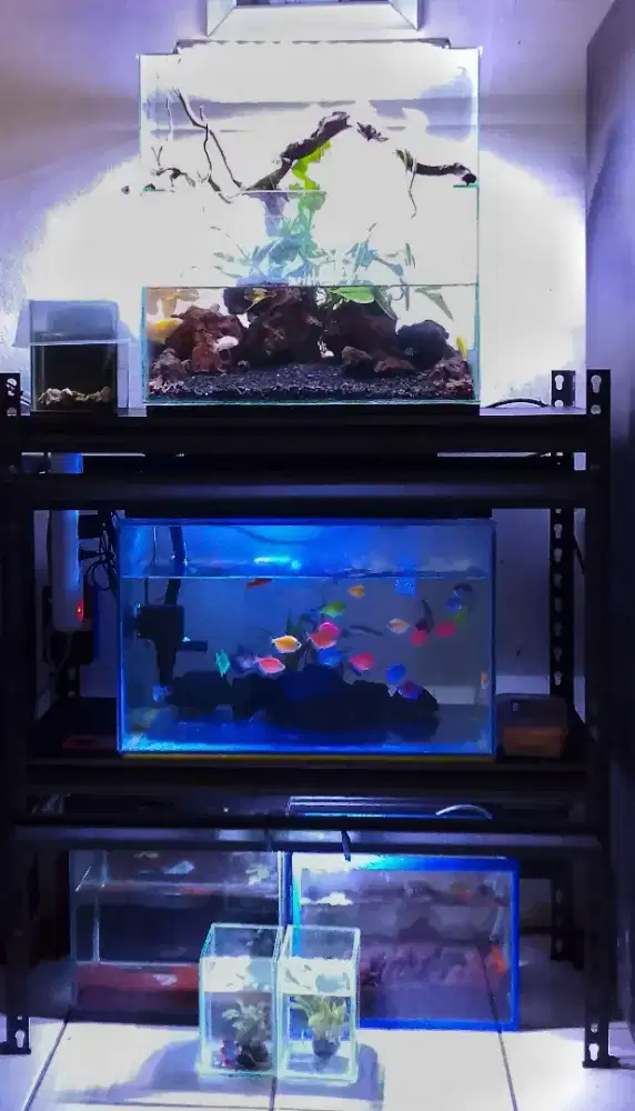 Akuarium Fullset Tinggal Pajang