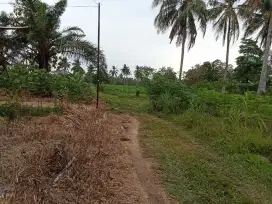 Di jual tanah pekarangan luas 15 x20