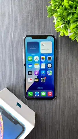 IPHONE XR 64GB MULUS INTER