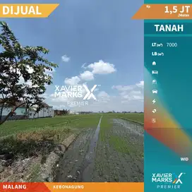 Dijual Tanah Super Luas di Area Kebonagung Pakisaji Malang
