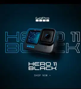 camera go pro 11 black edition