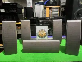 SPEKER PIONEER S-DV313