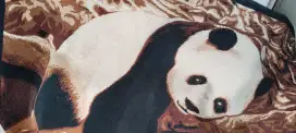 DIJUAL!! Karpet PANDA 2mx1,6m baru 1x pakai