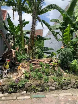 JUAL TANAH MURAH MEDAYU UTARA 5JT/ METER