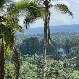 tanah kebun view lembah kawasan desa wisata di tabanan bali