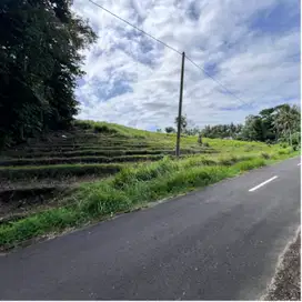 jual tanah kebun luas 50 are dekat pantai murah di tabanan bali