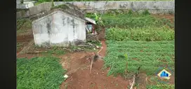 Disewakan Tanah di Jalan Raya Pemda Tigaraksa - Tangerang, Banten