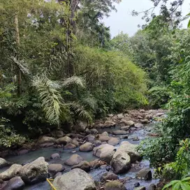 tanah kebun los sungai 15 menit menuju pantai di tabanan bali