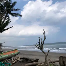 di jual tanah los pantai luas kecil di tabanan bali