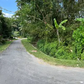 di jual tanah luas kecil dekat jalan utama di tabanan bali