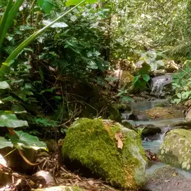 tanah kebun los sungai hawa sejuk alam pedesaan tabanan bali