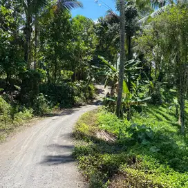 tanah kebun harga termurah di tabanan bali