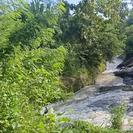 tanah sawah los sungai indah di tabanan bali