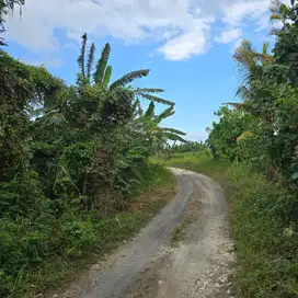 tanah luasan kecil dekat pantai di tabanan bali