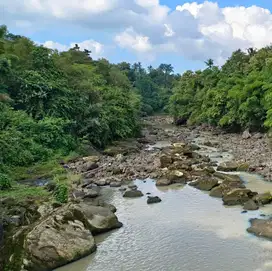 jual tanah los sungai indah di tabanan bali