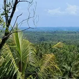 dijual unblok view dekat pantai surving di tabanan bali