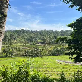tanah kebun view sawah indah di tabanan bali