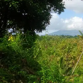 tanah kebun lokasi strategis view lembah di tabanan bali