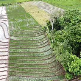 jual tanah kebun view cantik dekat pantai indah di tabanan bali