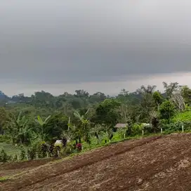 tanah kebun dekat obyrk wisata bedugul tabanan bali