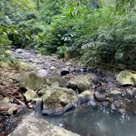 jual tanah kebun los sungai harga murah di tabanan bali.
