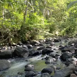 tanah kebun los sungai kawasan villa di tabanan bali
