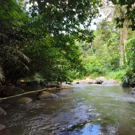 jual tanah kebun view sawah los sungai indah di tabanan bali