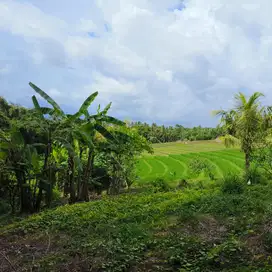 tanah kebun los sungai view sawah luas kecil di tabanan bali
