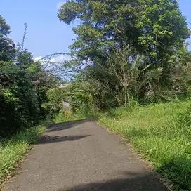 tanah kebun luas kecil harga murah di tabanan bali