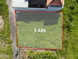 300 M2 FREEHOLD LAND IN MUNGGU: IDEAL INVESTMENT OPPORTUNITY
