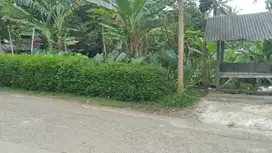 Jual tanah murah 2000 m2 pinggir jalan kampus IPB Dramaga Bogor