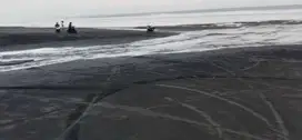 75 are loss pantai  pasut tabanan bali cocok villa
