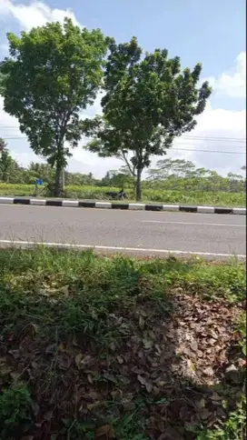 Tanah Tegalan 1,7 Hektar Purwodadi Purworejo Jalur selatan
