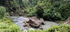 Di jual tanah kebun produktip