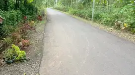 Tanah Tegalan 8 Hektar Gebang Purworejo jateng