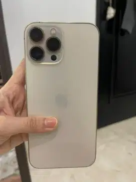 DI JUAL IP 13PM 512GB