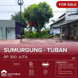 Tanah Jual Pinggir Jalan Sumurgung Dekat Sekolah SMPN 4, RS NU Tuban
