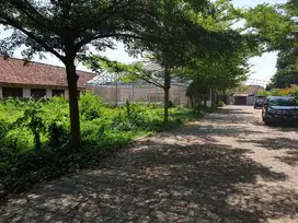 Dijual Tanah di Sanur Area