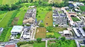 Tanah View Sawah Abadi Tumbak Bayuh Mengwi